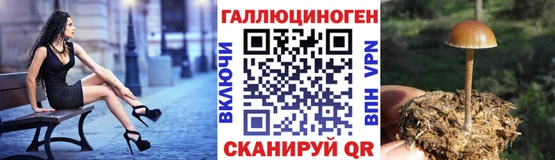 Купить  Дигора  Галлюциногенные грибы GOLDEN TEACHER 